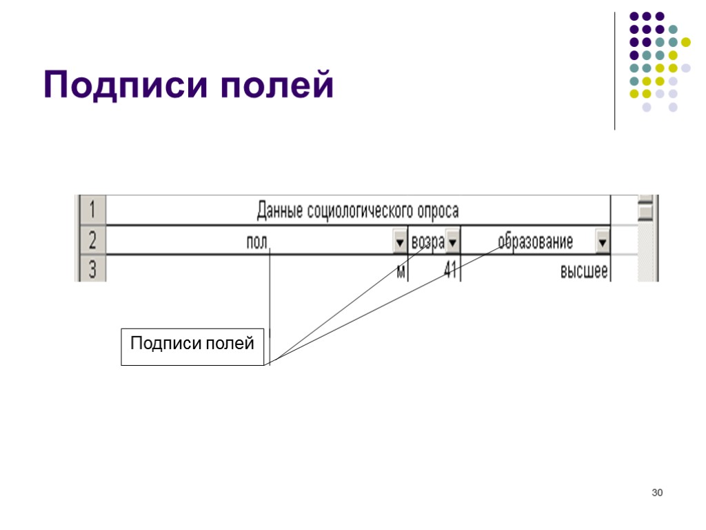 30 Подписи полей Подписи полей